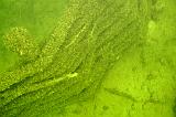 2009-08-02 10-13-30L